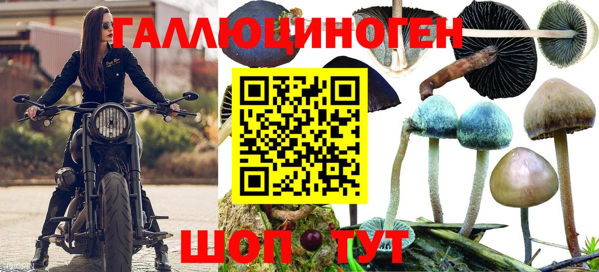 Галлюциногенные грибы ЛСД Добрянка